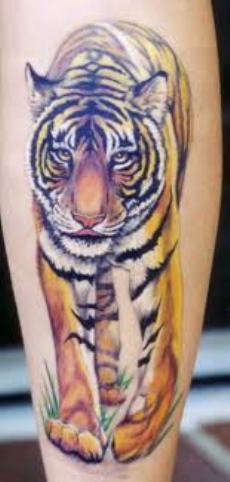 A tiger tattoo on man's shin.